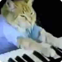 Vídeo: Dueto: Usher e o Keyboard Cat! \o/