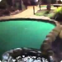 Vídeo: A melhor jogada de mini-golfe de todos os tempos!